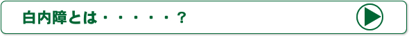 白内障とは？
